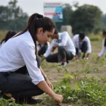 Agricultural Universities: Cultivating the Future of Food